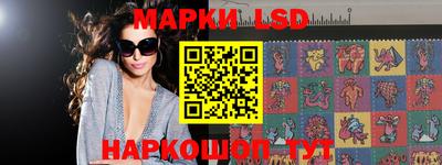 гидра Краснодар