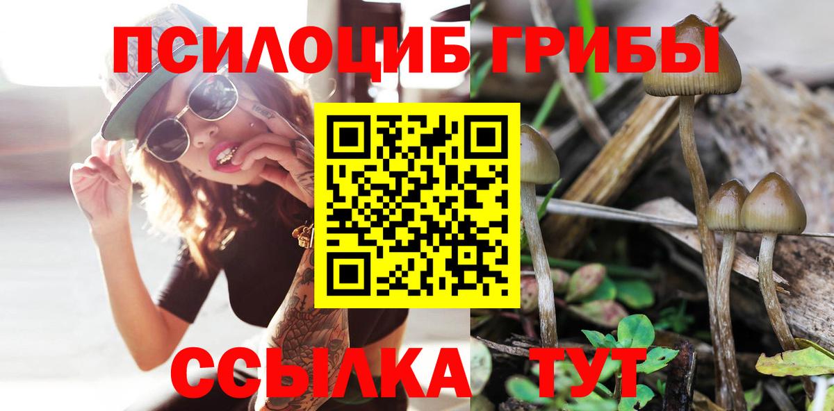 Псилоцибиновые грибы GOLDEN TEACHER  наркошоп  Шебекино  Вход с VPN 